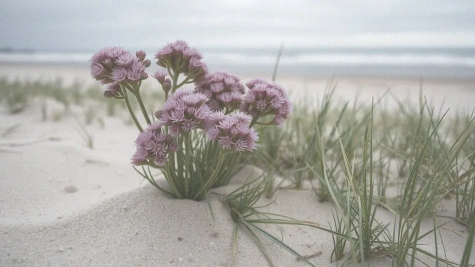 Jakie choroby mogą dotknąć smagliczkę nadmorską?