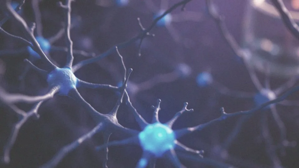 Jakie receptory opioidowe wpływają na działanie morfiny?