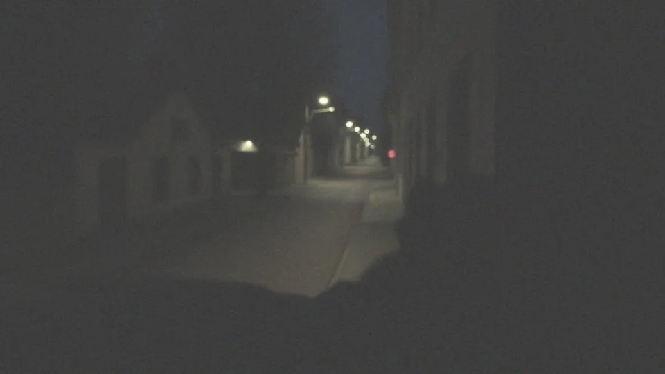 Dziwne zachowanie psa w nocy – przyczyny i jak mu pomóc