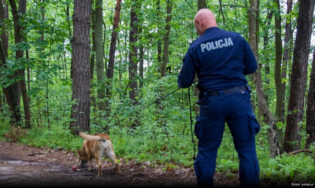 Mężczyzna poszukiwany przez sąd zgłosił się na policję w Dąbrowie Białostockiej