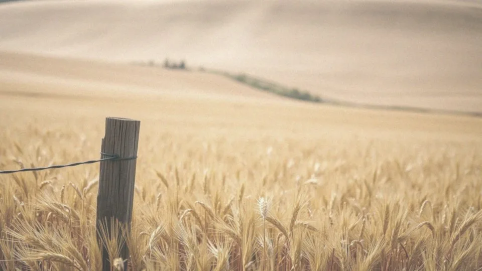 Ustawa o kształtowaniu ustroju rolnego – kluczowe zasady i regulacje